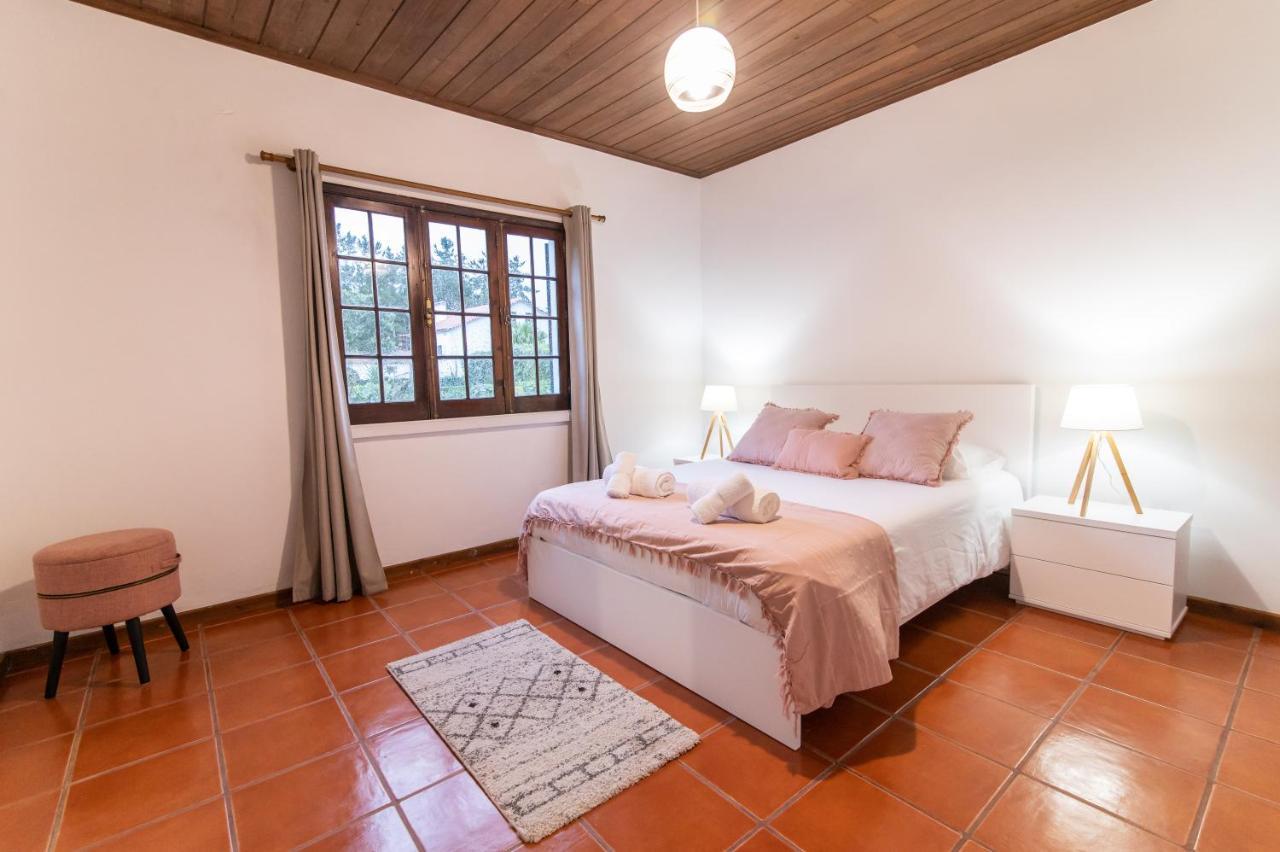 Casa Do Pinheiro With Shared Swimming Pool Villa เซา วิเซนเต เฟอร์เฮรา ภายนอก รูปภาพ