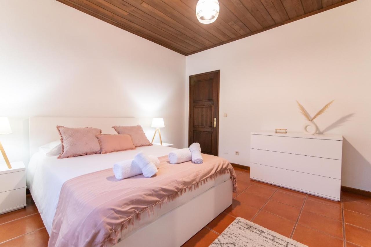 Casa Do Pinheiro With Shared Swimming Pool Villa เซา วิเซนเต เฟอร์เฮรา ภายนอก รูปภาพ