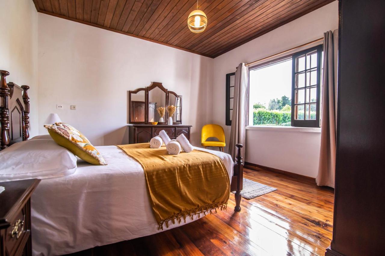 Casa Do Pinheiro With Shared Swimming Pool Villa เซา วิเซนเต เฟอร์เฮรา ภายนอก รูปภาพ