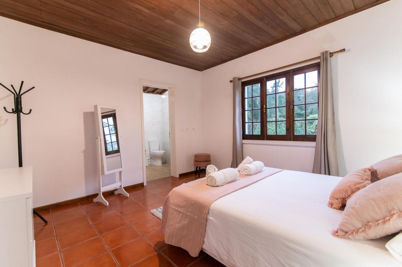 Casa Do Pinheiro With Shared Swimming Pool Villa เซา วิเซนเต เฟอร์เฮรา ภายนอก รูปภาพ