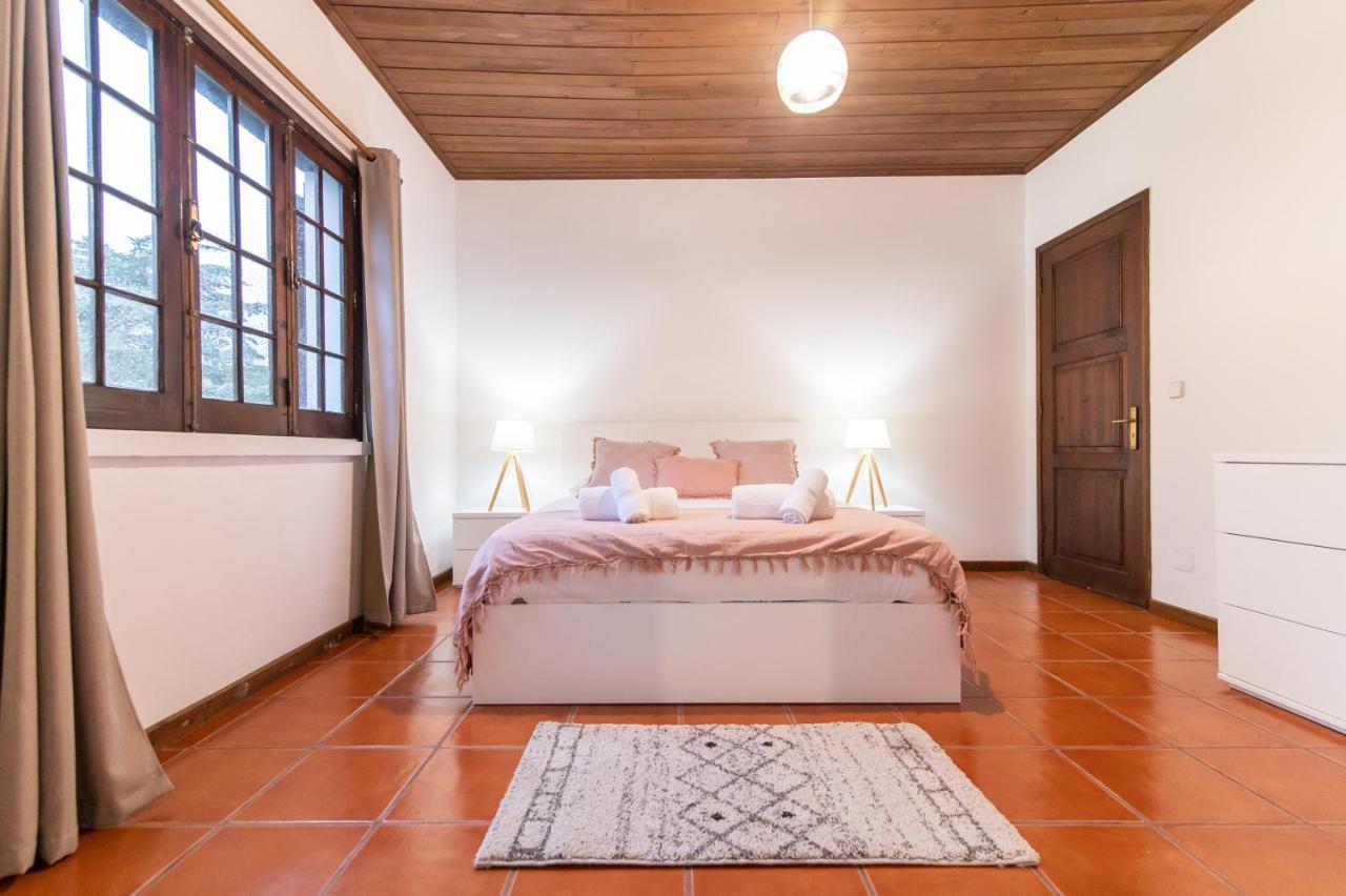 Casa Do Pinheiro With Shared Swimming Pool Villa เซา วิเซนเต เฟอร์เฮรา ภายนอก รูปภาพ